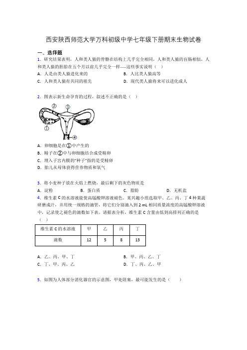 西安陕西师范大学万科初级中学七年级下册期末生物试卷