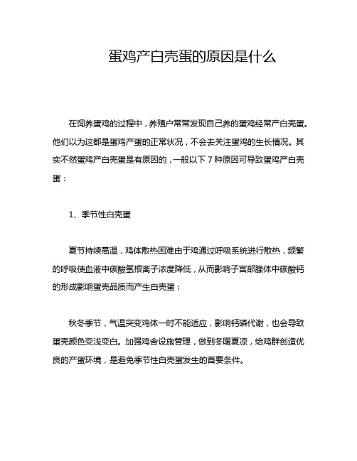 蛋鸡产白壳蛋的原因是什么