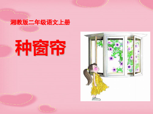 2021完整版《种窗帘》PPT课件