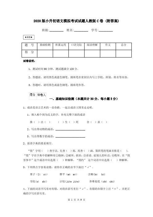 2020版小升初语文模拟考试试题人教版C卷 (附答案)