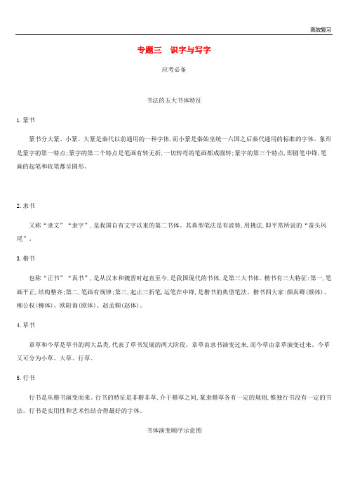 中考语文总复习二积累与运用专题03识字与写字41含答案