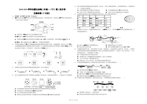 2018-2019学年内蒙古赤峰二中高一(下)第二次月考生物试卷(5月份)(解析版)