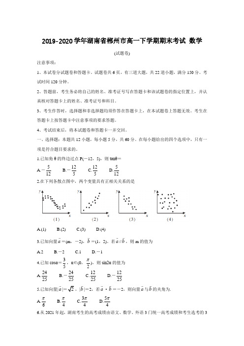 2019-2020学年湖南省郴州市高一下学期期末考试 数学(有答案)