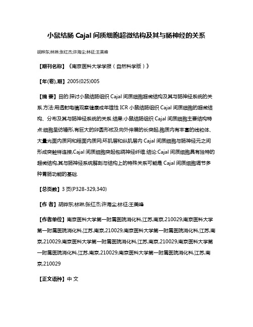 小鼠结肠Cajal间质细胞超微结构及其与肠神经的关系