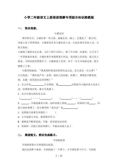 小学二年级语文上册阅读理解专项综合知识湘教版