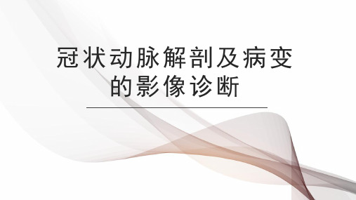 冠状动脉解剖及病变的影像诊断