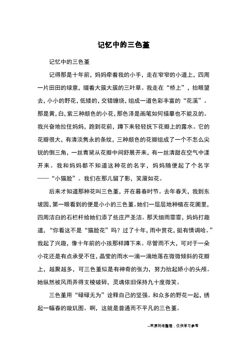 记忆中的三色堇_优秀作文