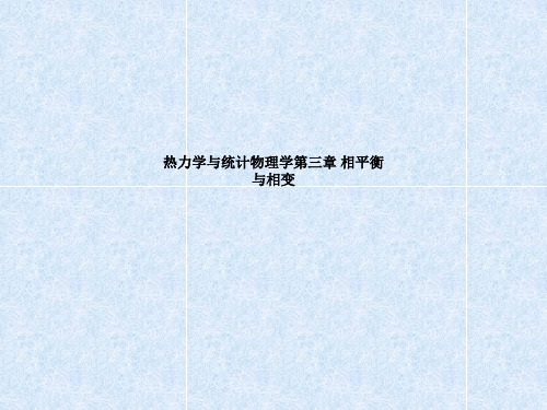 热力学与统计物理学第三章 相平衡与相变