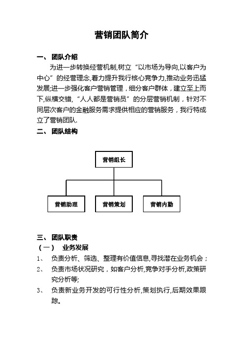 营销团队简介【范本模板】