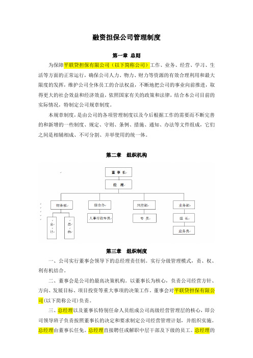 融资担保公司管理制度-范文