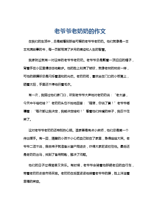 老爷爷老奶奶的作文