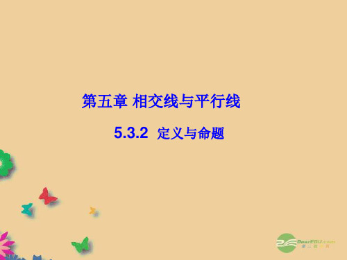 七年级数学下册《532 命题、定理、证明》课件 (新版)新人教版