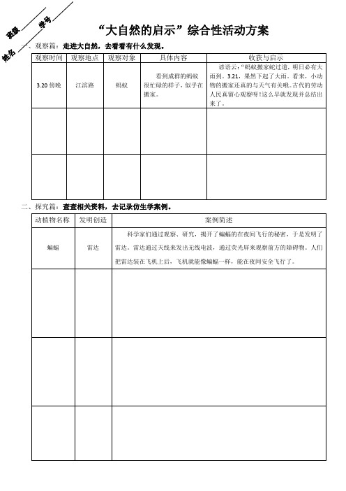 《大自然的启示》活动方案