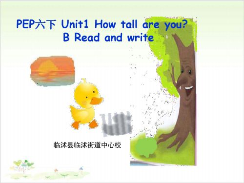 六年级下册英语-Unit 1 How tall are you?-人教版 (11)PPT精美版
