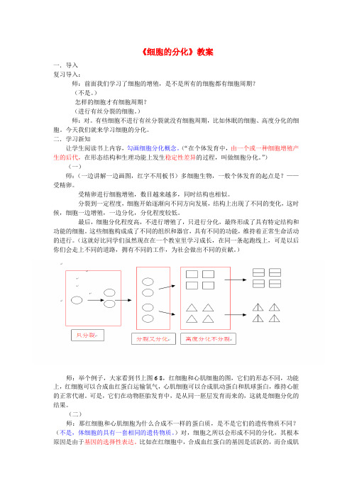 高中生物 细胞的分化 教案 新人教版必修1