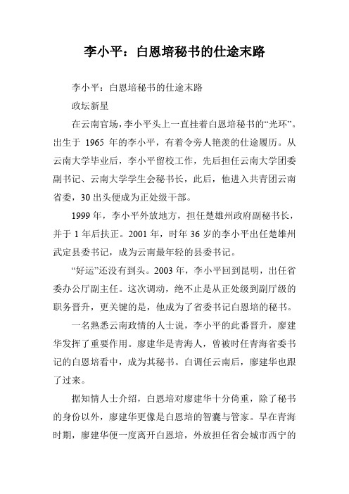 李小平：白恩培秘书的仕途末路