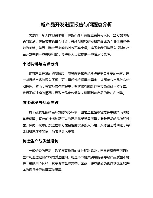 新产品开发进度报告与问题点分析