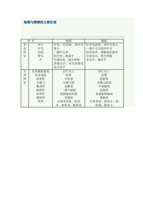 籼稻和粳稻的区别