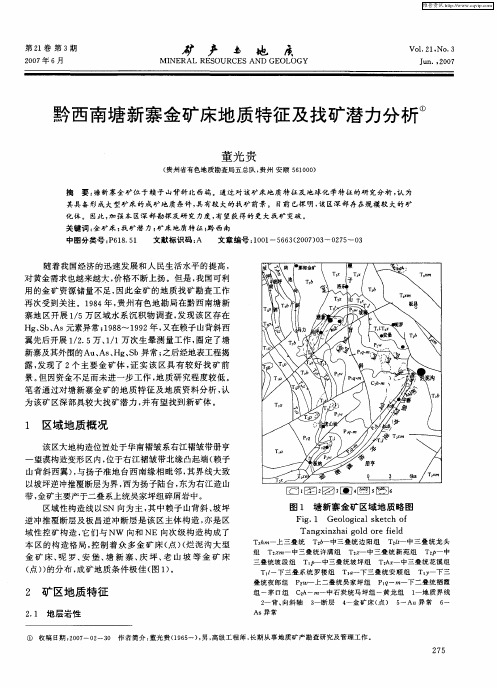 黔西南塘新寨金矿床地质特征及找矿潜力分析