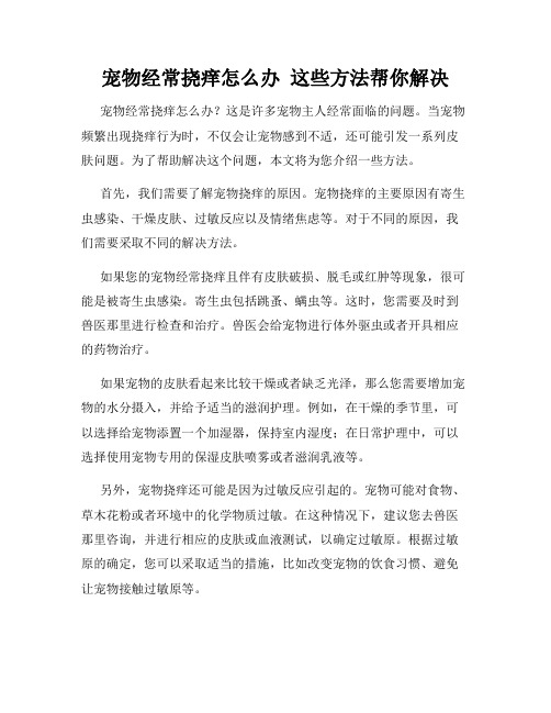 宠物经常挠痒怎么办  这些方法帮你解决