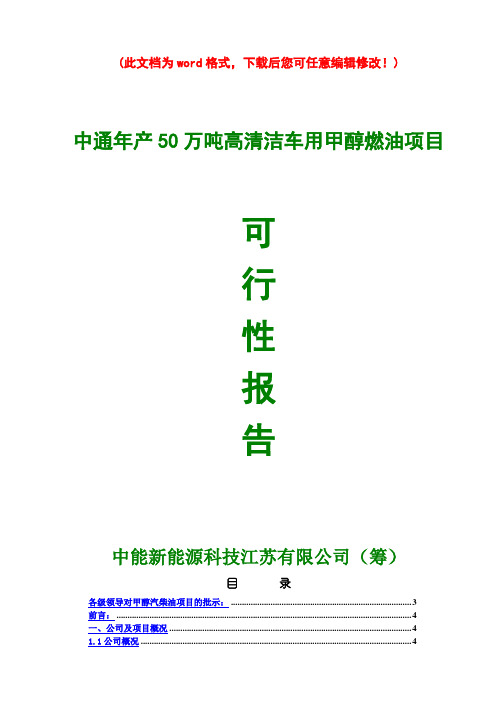 【精品】年产50万吨高清洁车用甲醇燃油项目可研报告