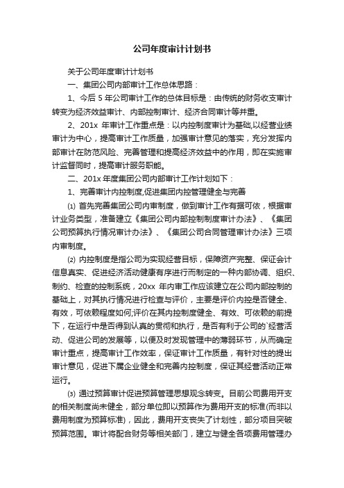 公司年度审计计划书