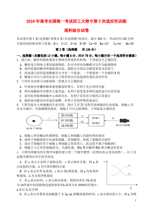 陕西省西北工业大学附属中学高三理综第十次适应性考试试题