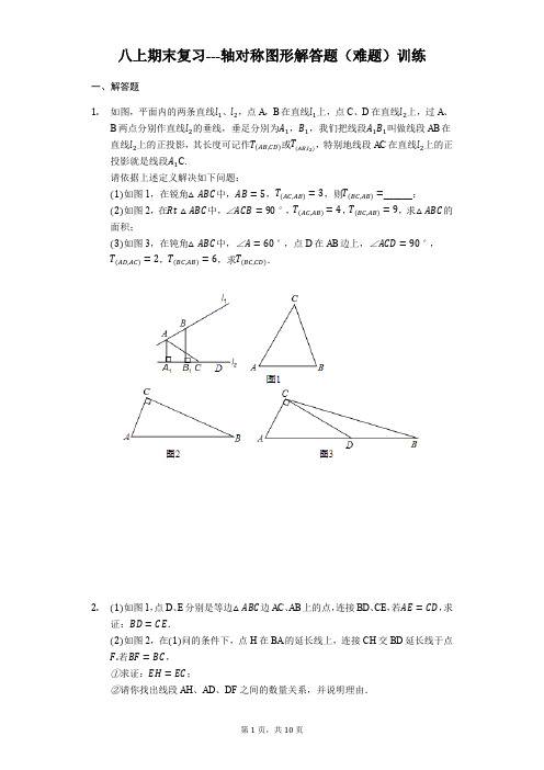 苏科版八年级上册期末复习---轴对称图形解答题(难题)训练