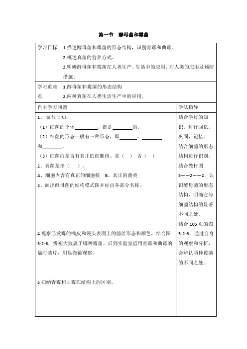 冀少版生物-八年级上册-酵母菌和霉菌》导学案2