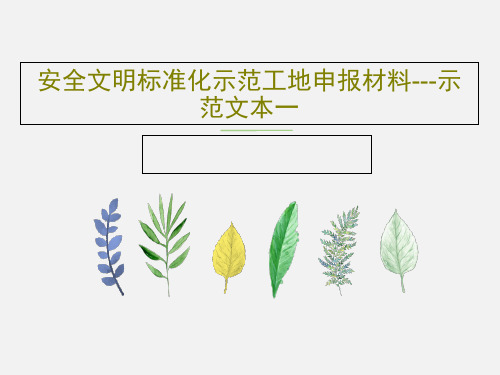 安全文明标准化示范工地申报材料---示范文本一57页PPT