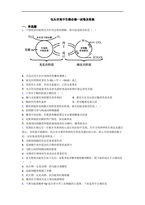 包头市高中生物必修一试卷及答案