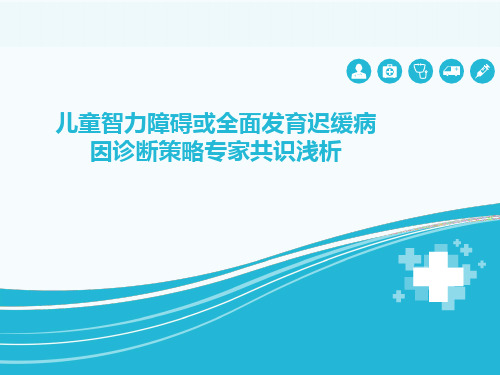 儿童智力障碍或全面发育迟缓病因诊断策略专家共识浅析