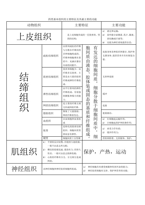 四类基本组织的主要特征及其最主要的功能