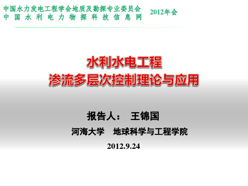 水利水电工程渗流多层次控制理论与应用