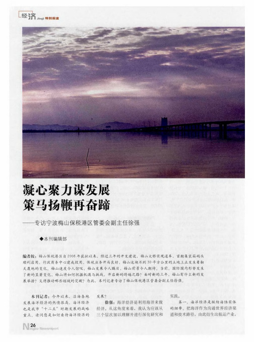 凝心聚力谋发展 策马扬鞭再奋蹄——专访宁波梅山保税港区管委会副主任徐强