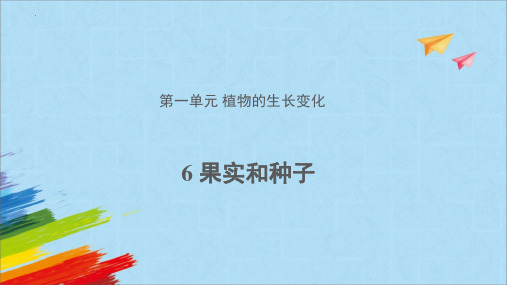 最新教科版四年级科学下册《果实和种子》精品教学课件