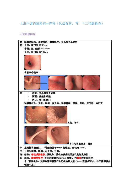 诊断学-内镜检查