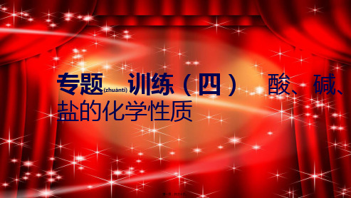 九年级化学下册 第八章 常见的酸、碱、盐 专题训练(四)酸、碱、盐的化学性质同步练习课件