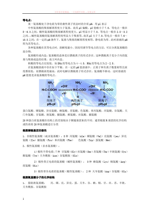 氨基酸分类及等电点的计算方法