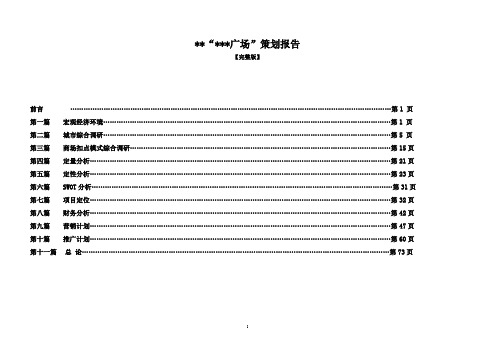 商业综合体策划报告