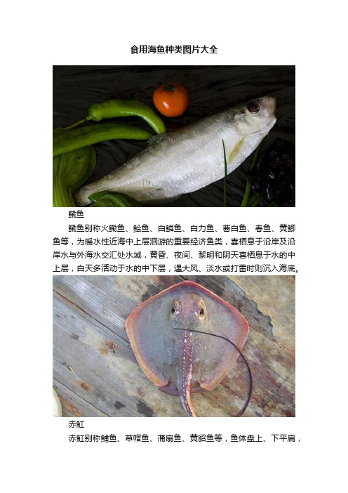 食用海鱼种类图片大全