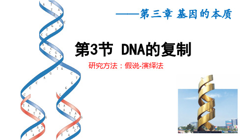 DNA的复制ppt课件