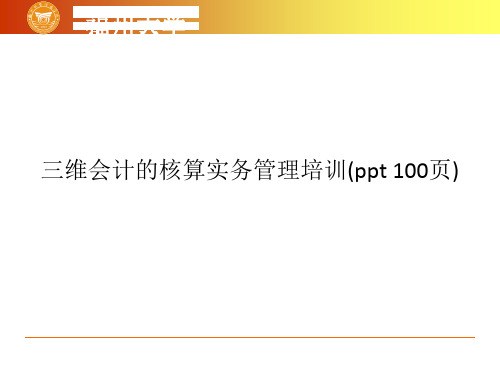 三维会计的核算实务管理培训(ppt 100页)