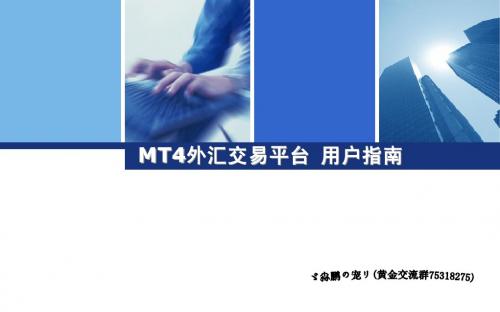 MT4外汇交易平台用户指南