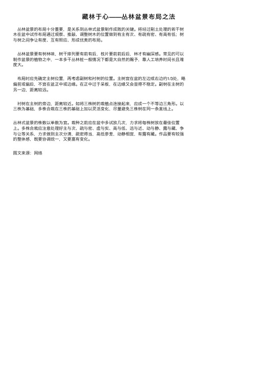 藏林于心——丛林盆景布局之法