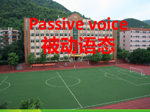 人教版英语九全Unit5 Section A(Passive Vioce)实用课件(34张)