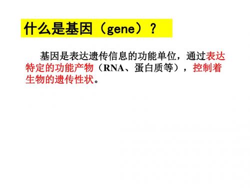 基因和基因组PPT课件