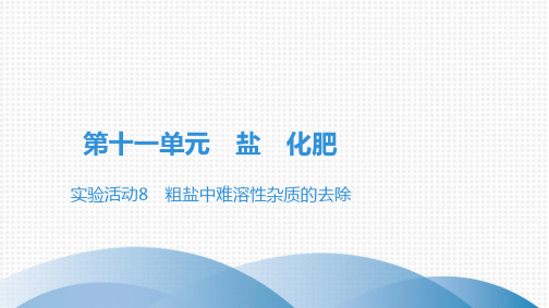 最新人教版九年级全一册化学第十一单元 盐 化肥实验活动8 粗盐中难溶性杂质的去除
