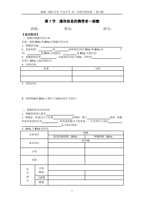 第3节 遗传信息的携带者-核酸