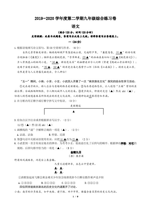 2020年江苏省南京市玄武区九年级中考二模语文试卷 (1)